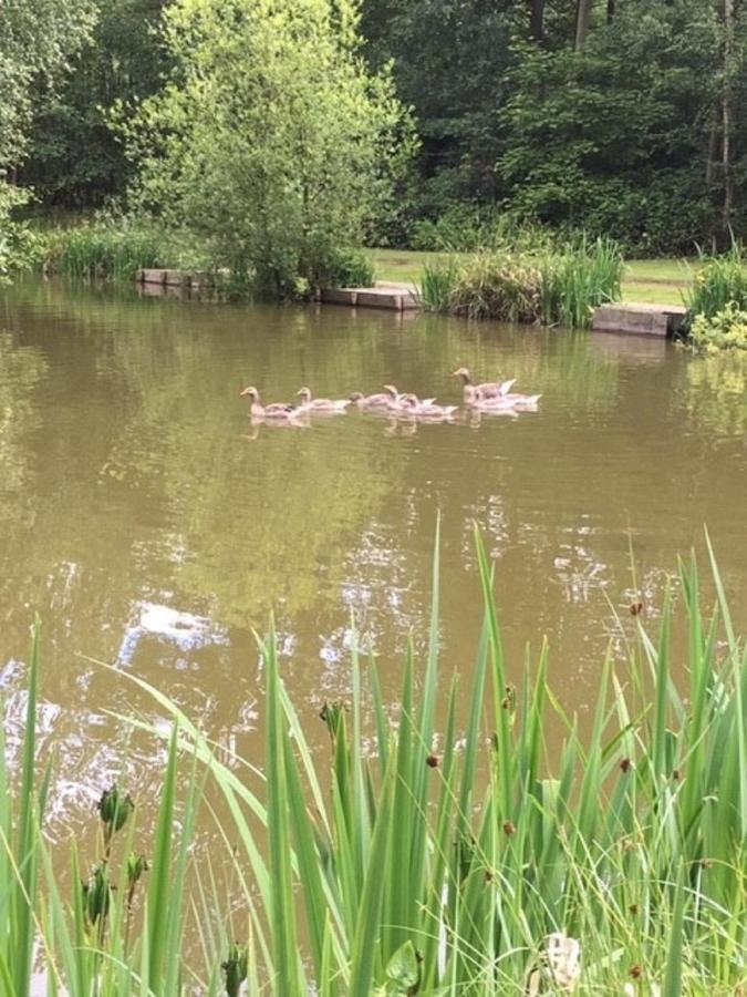 Hollicarrs Holiday Park - Hares Leap Riccall Esterno foto