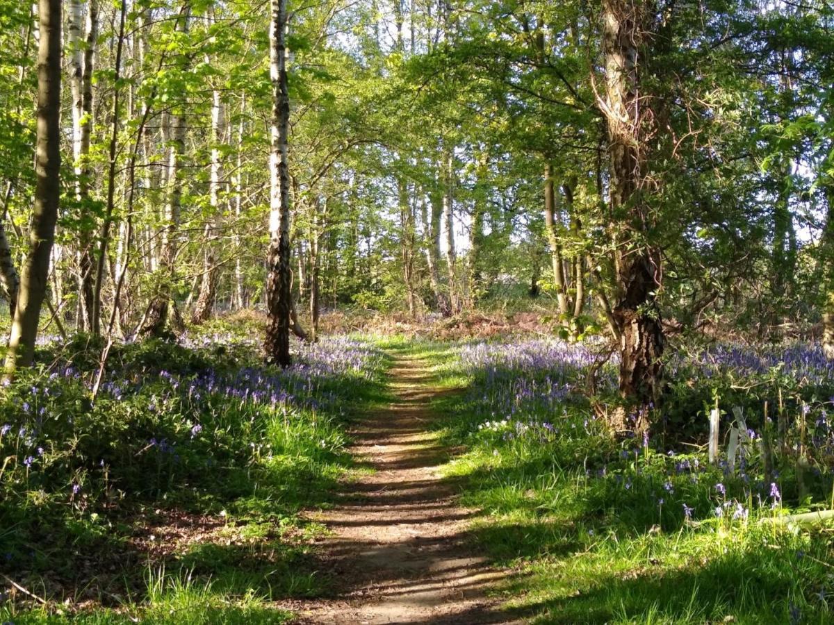 Hollicarrs Holiday Park - Hares Leap Riccall Esterno foto
